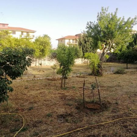 Modica Relax Garden Apartment Exterior photo